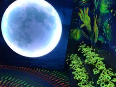 -天津梵高星空艺术馆(天河城旗舰店)