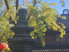 -龙华素斋(龙华路店)