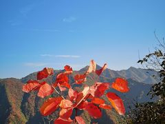 -秦岭风景区