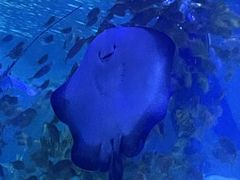 -常州海昌海洋探索馆