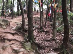 -灵岩山风景区