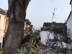-山塘街