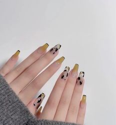 -安吉拉青春化管理中心