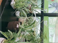 -813芭依珊 BAESAn(皇冠十畝地店)