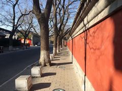 -北京国子监胡同