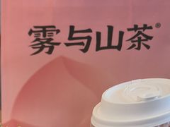 -雾与山茶(大禹城店)