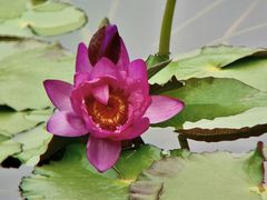 -云溪植物园