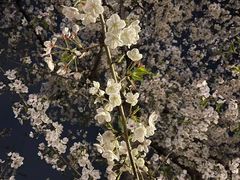 -龙美术馆西岸馆-停车场