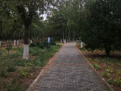 -绿堤公园