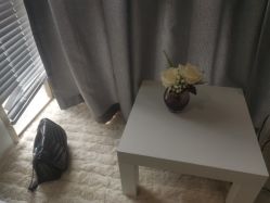 -乐活概念专业皮肤管理连锁