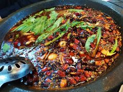 -都江堰石锅鱼