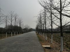 -汉景帝阳陵博物院