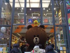 -line friends(明洞旗舰店)