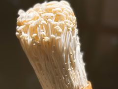 -巴渝瓦肆重庆鲜火锅(宝龙环湖店)