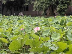 -西南交通大学(九里校区)