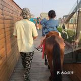遛娃首选小蜜蜂农场