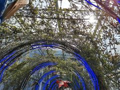 -沈阳植物园