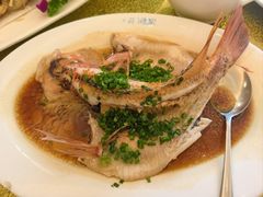 -黄埔华苑酒家(黄埔店)