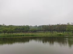 -江苏三台山国家森林公园