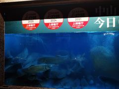 -淘米捞·米汤脆鲩鱼火锅(福田皇岗店)