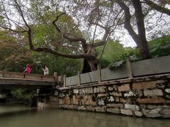-汇龙潭