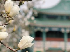 -国家图书馆·古籍馆