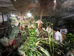 -贰醒·私房小院烧烤 (太古里店)