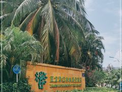 -三亚亚龙湾红树林度假酒店