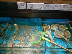 -中苑海韵