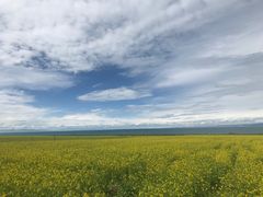 -青海湖国家重点风景名胜区
