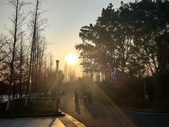 -三垟湿地