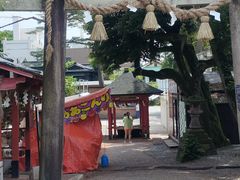 -金泽21世纪美术馆