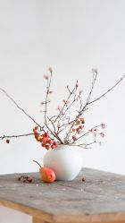 -花家怡园·宴会厅(簋街四合院总店)