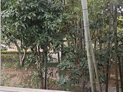 -故乡缘·香格里拉山庄(冷竹路店)