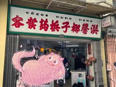 -洪馨椰子