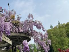 -上海植物园-4号门售票处