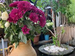 -吃货私房菜(丽江束河古镇店)