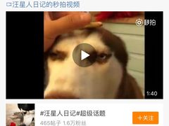 -BiM综合体能训练中心(漕河泾绿洲馆)