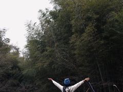 -宁波浙东大竹海景区