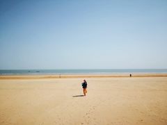 -日照海滨国家森林公园
