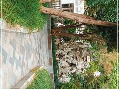 -上海市总工会沪东工人文化宫