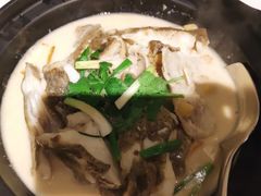 铜盘局多宝鱼-梧桐Plus·创意京·川料理(万象城店)