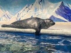 -成都浩海立方海洋公园