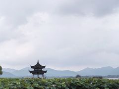 -星巴克(西湖天地店)