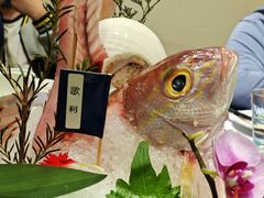 -無鱼鳞比