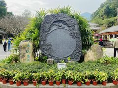 -鼎湖山风景区