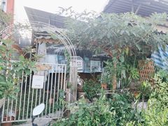 -Jungle Kitchen