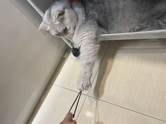 -Oasis绿洲银饰珍珠手作diy(壹方城店)