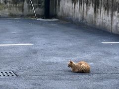 -范蠡湖公园