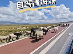 -青海湖国家重点风景名胜区